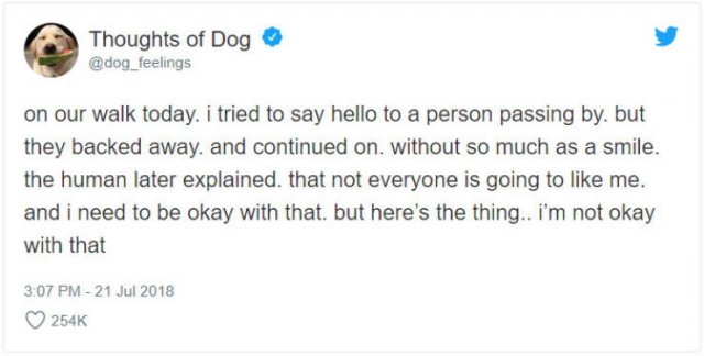 What If We Could Read What Dogs Think (30 pics)
