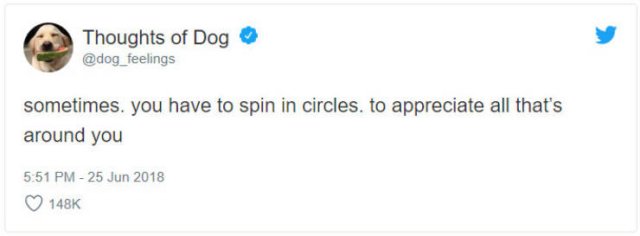 What If We Could Read What Dogs Think (30 pics)