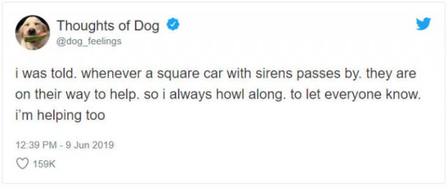 What If We Could Read What Dogs Think (30 pics)