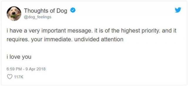 What If We Could Read What Dogs Think (30 pics)