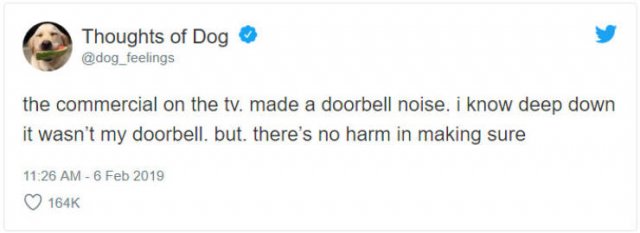 What If We Could Read What Dogs Think (30 pics)
