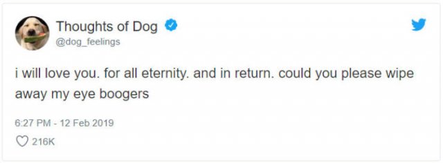 What If We Could Read What Dogs Think (30 pics)