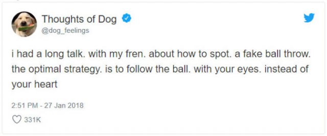 What If We Could Read What Dogs Think (30 pics)