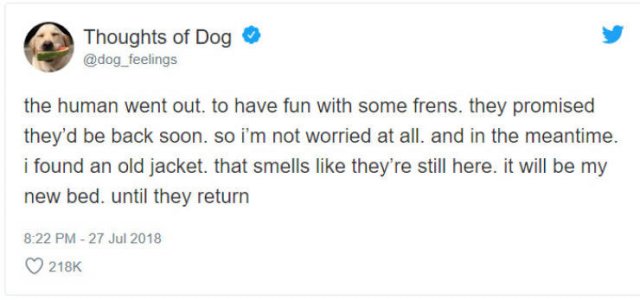 What If We Could Read What Dogs Think (30 pics)