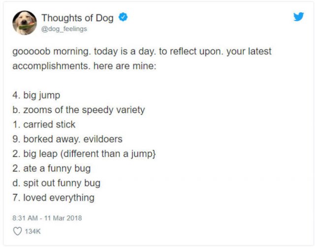 What If We Could Read What Dogs Think (30 pics)