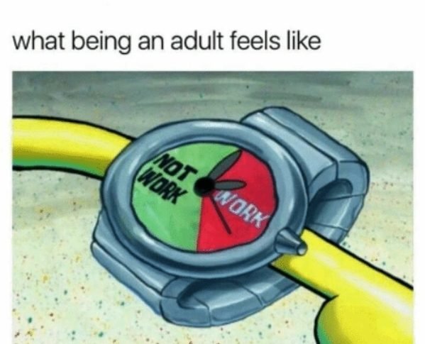 Being Adult Kind Of Sucks (30 pics)