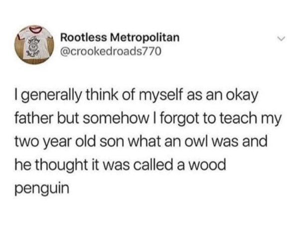 Brand New Sentences (30 pics)