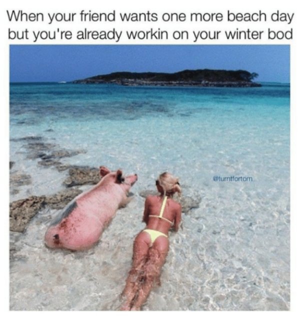 Summer Vacation Memes (30 pics)