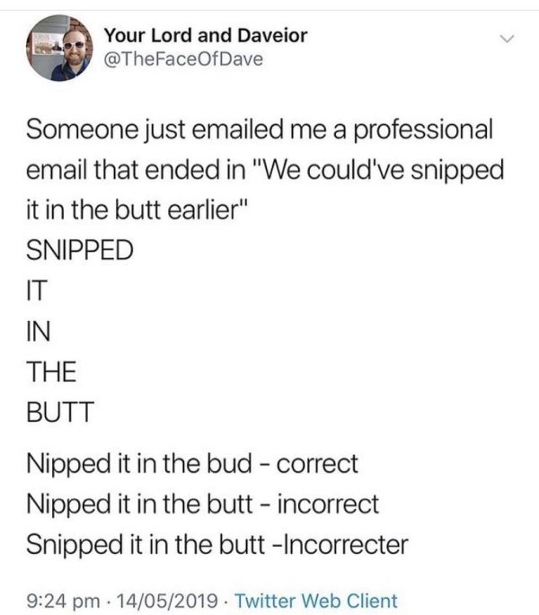 Brand New Sentences (30 pics)