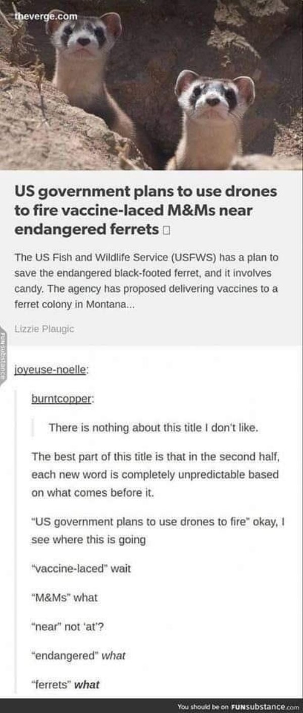 Brand New Sentences (30 pics)