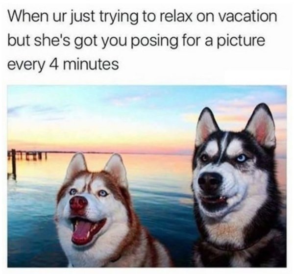 Summer Vacation Memes (30 pics)