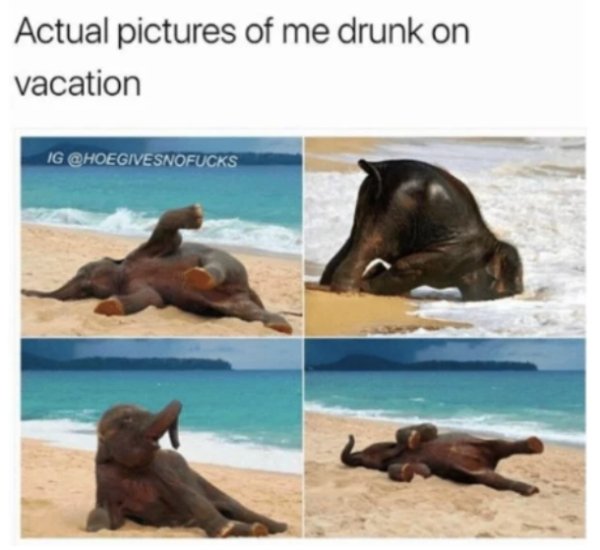 Summer Vacation Memes (30 pics)