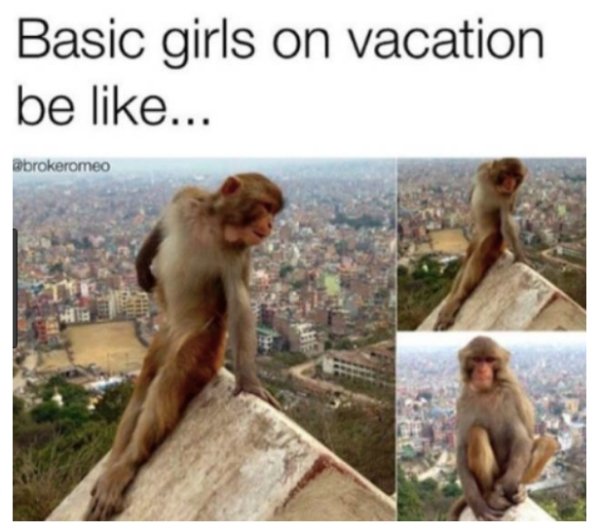 Summer Vacation Memes (30 pics)