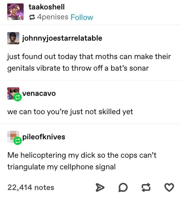 Brand New Sentences (30 pics)