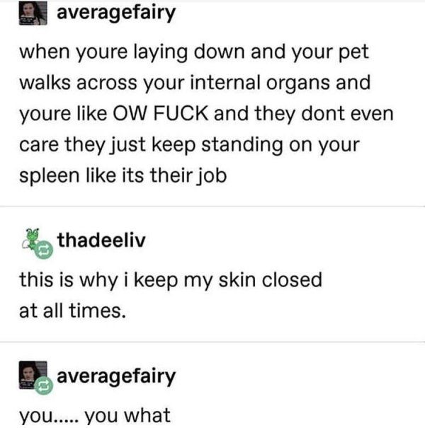 Brand New Sentences (30 pics)