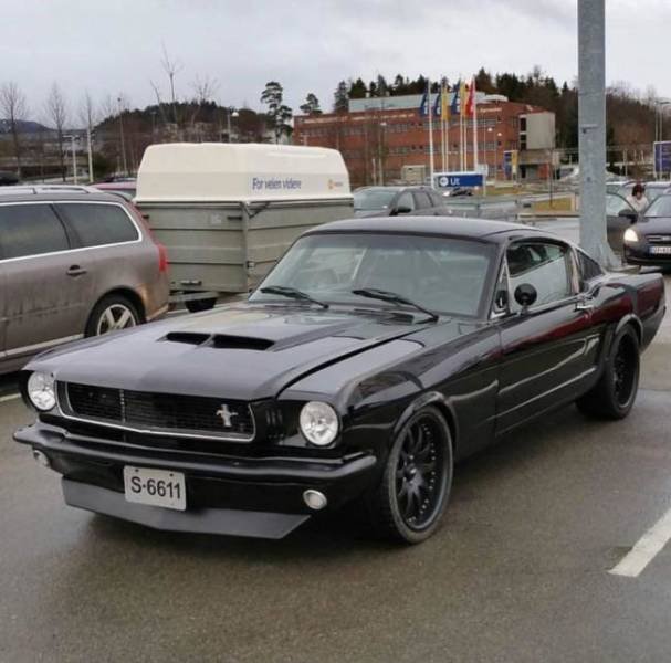 Muscle Cars (48 pics)