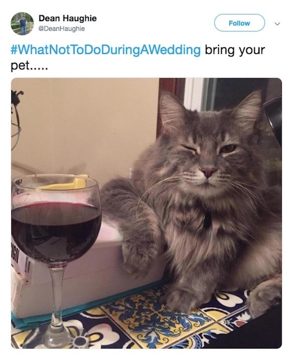 What Not To Do During A Wedding (11 pics)