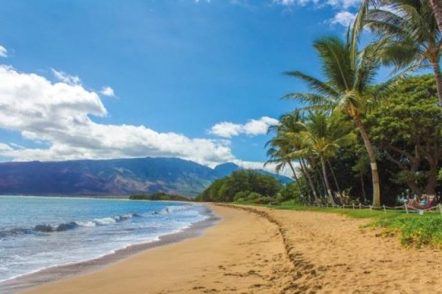 Hawaii Facts (25 pics)