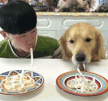 Acid Gifdump, June 12 (25 gifs)
