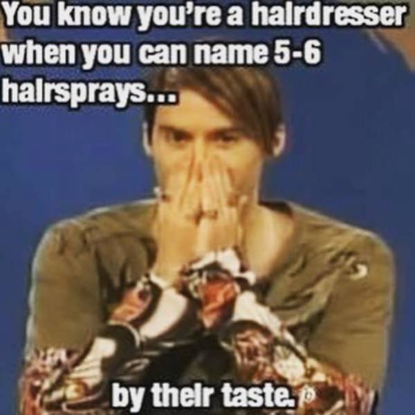 Hairdresser Memes (59 pics)