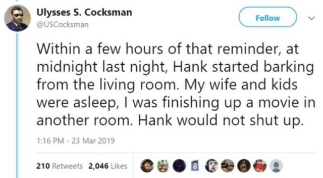 Hank Is A Hero (11 pics)