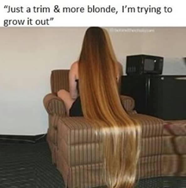 Hairdresser Memes (59 pics)
