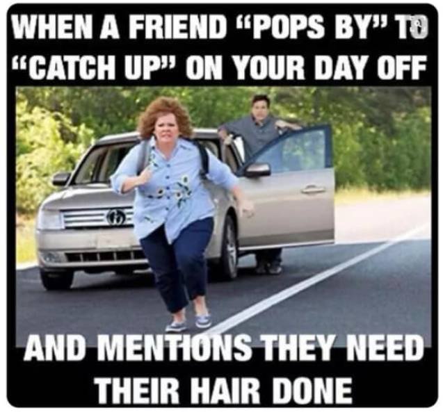 Hairdresser Memes (59 pics)