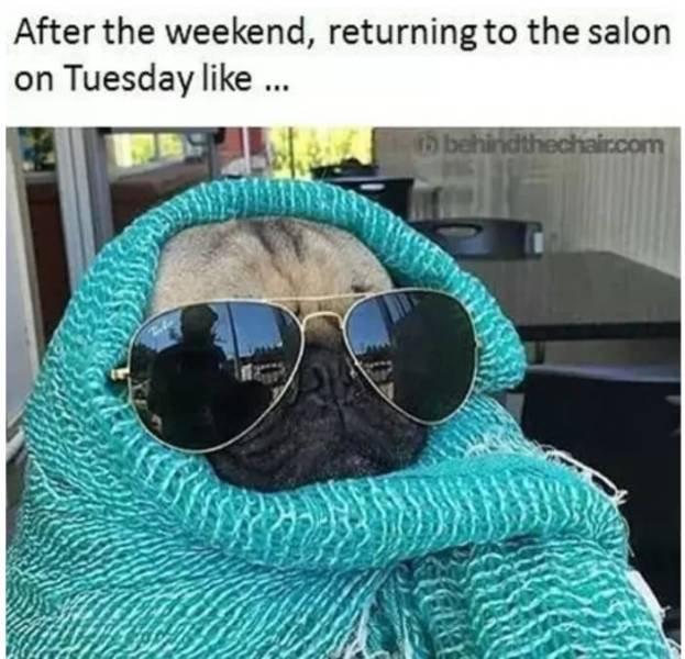 Hairdresser Memes (59 pics)