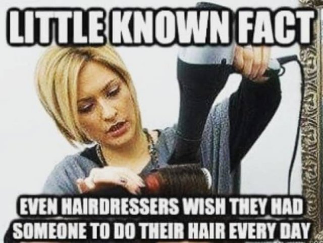 Hairdresser Memes (59 pics)