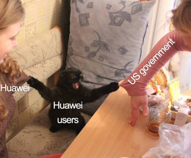 Huawei Ban Memes (30 pics)