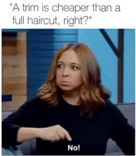 Hairdresser Memes (59 pics)