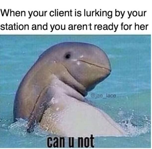 Hairdresser Memes (59 pics)