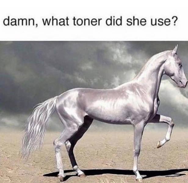 Hairdresser Memes (59 pics)