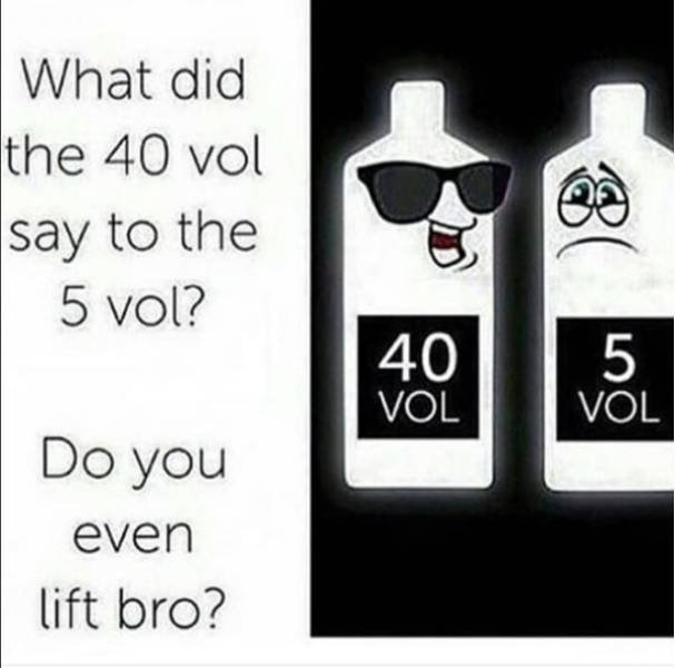 Hairdresser Memes (59 pics)