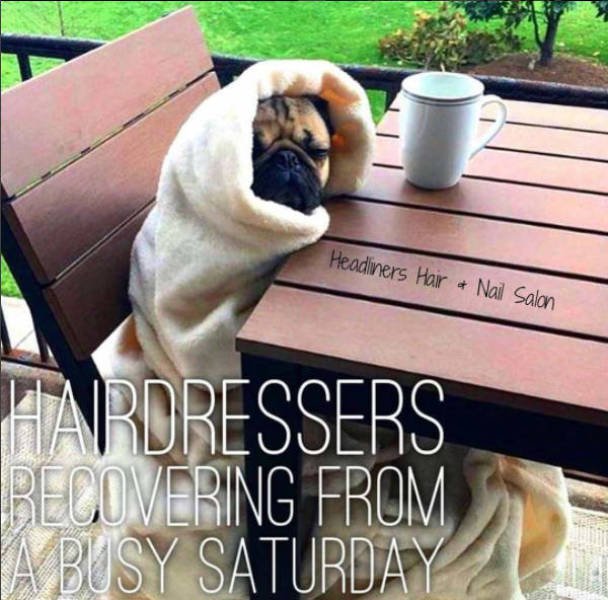 Hairdresser Memes (59 pics)