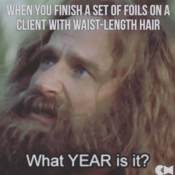Hairdresser Memes (59 pics)