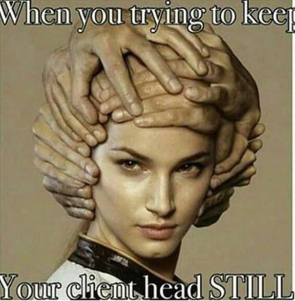 Hairdresser Memes (59 pics)