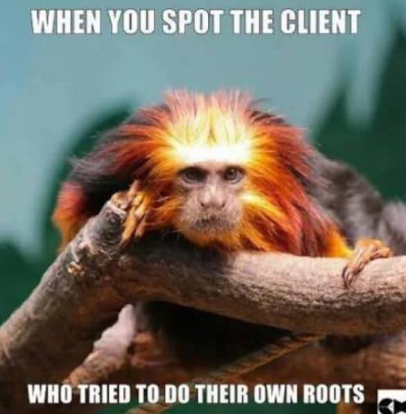 Hairdresser Memes (59 pics)