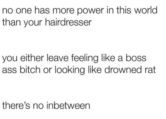 Hairdresser Memes (59 pics)