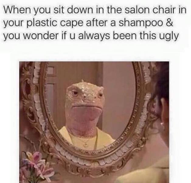 Hairdresser Memes (59 pics)