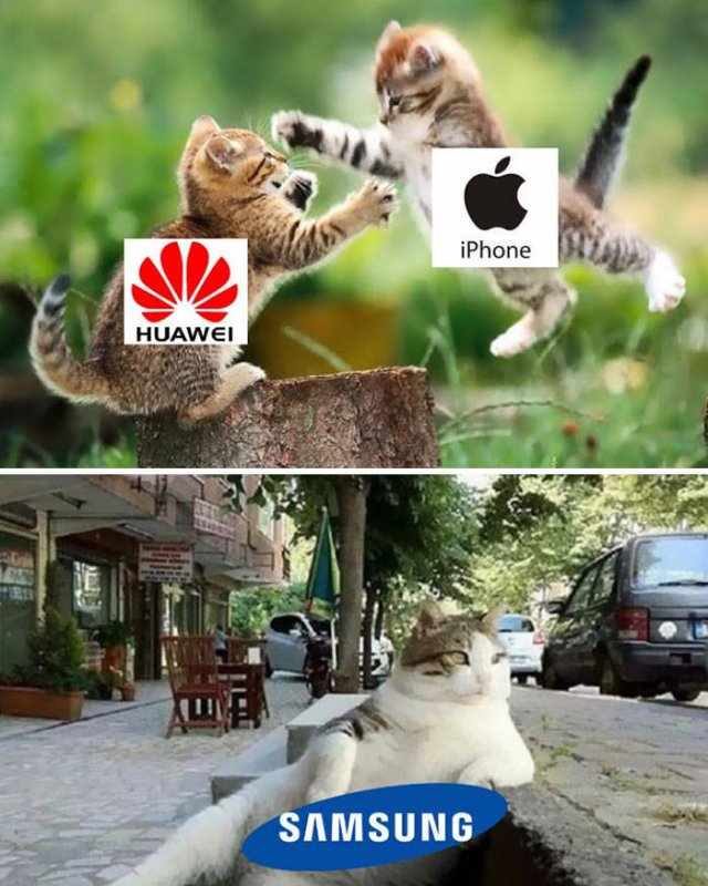 Huawei Ban Memes (30 pics)