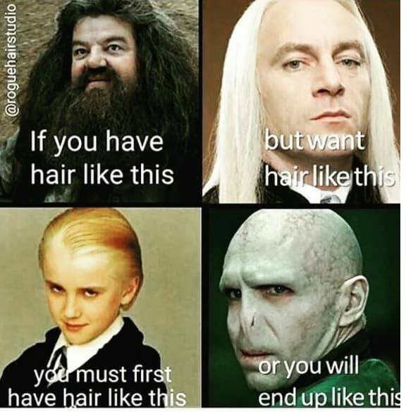 Hairdresser Memes (59 pics)