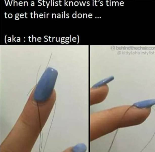 Hairdresser Memes (59 pics)