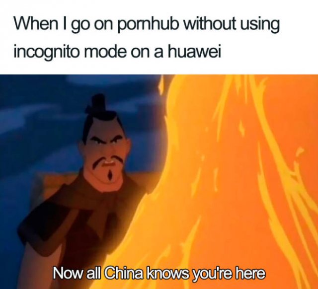 Huawei Ban Memes (30 pics)