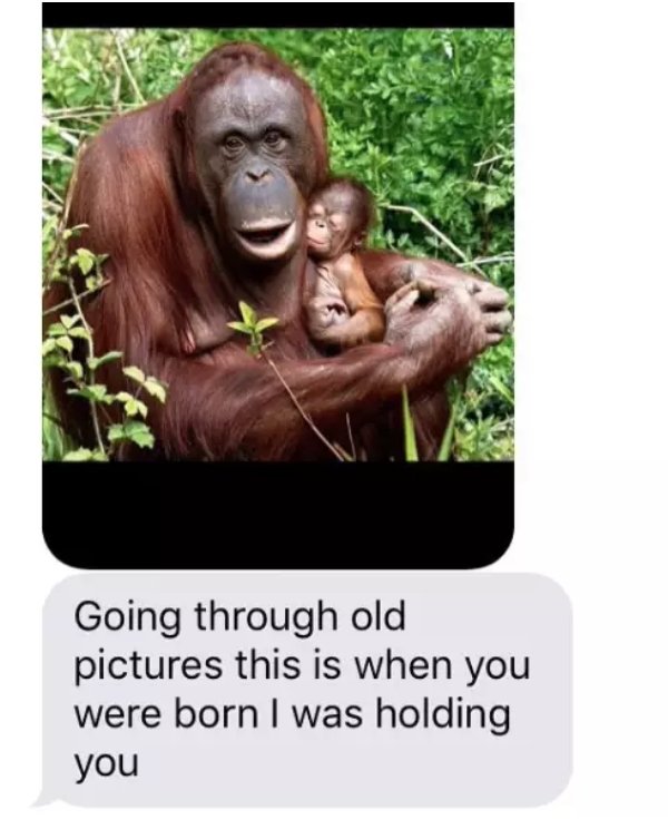 Pictures About Moms (28 pics)