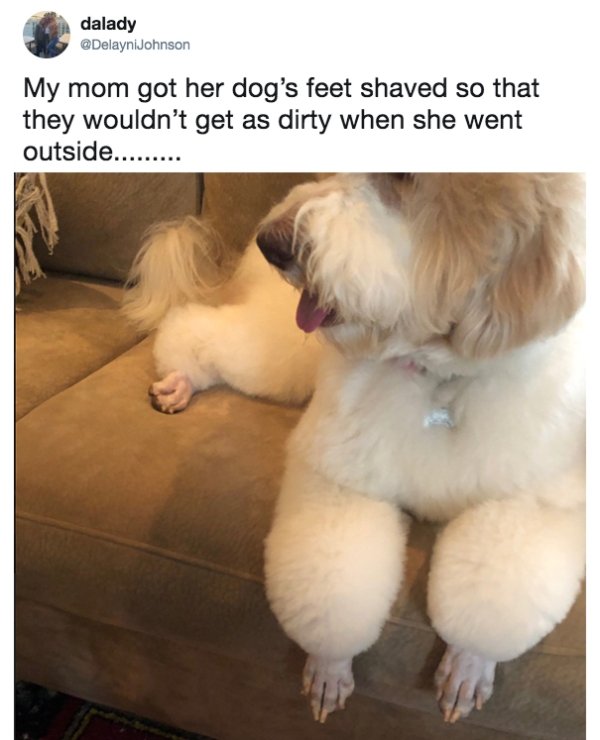 Pictures About Moms (28 pics)