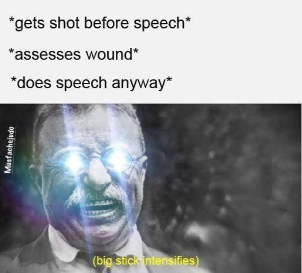 Historical Memes (25 pics)
