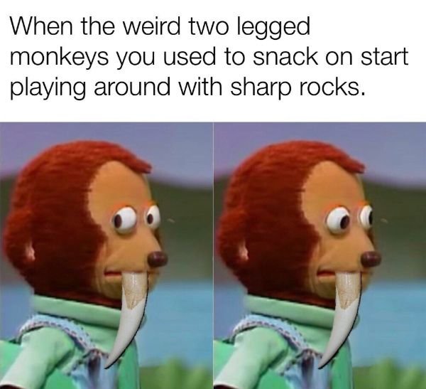 Historical Memes (25 pics)