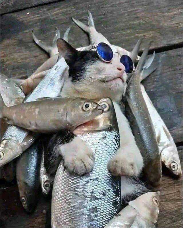 Acid Picdump. Part 2 (97 pics)