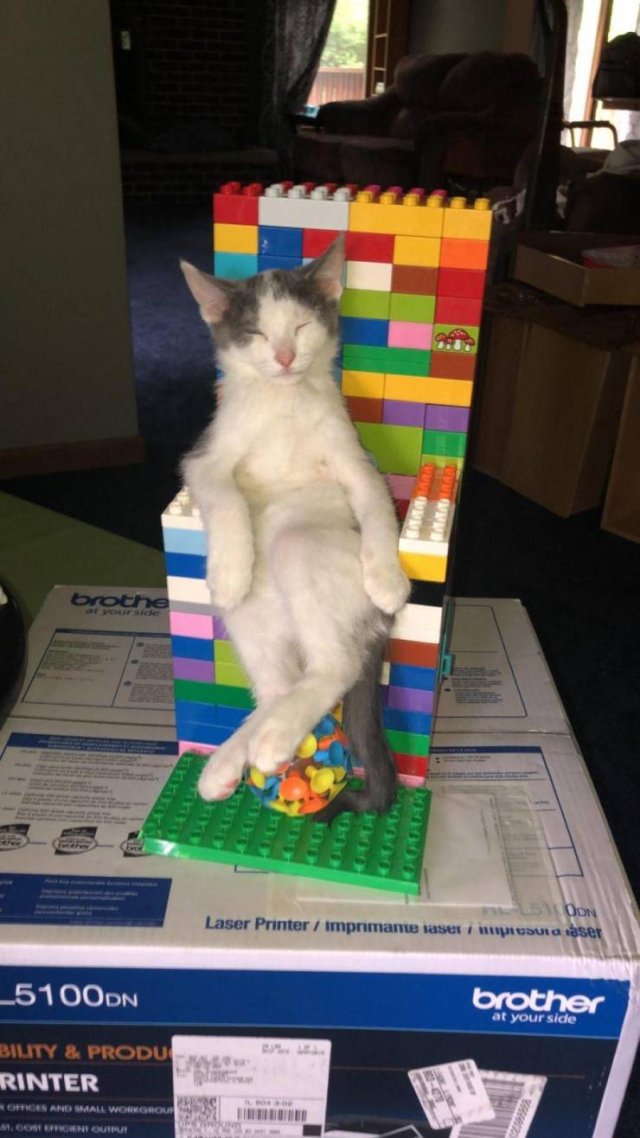 Acid Picdump. Part 2 (97 pics)